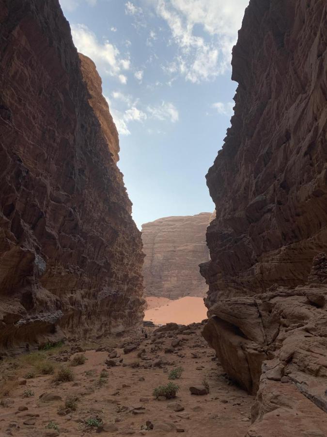 Sara Luxury Camp Hotell Wadi Rum Exteriör bild